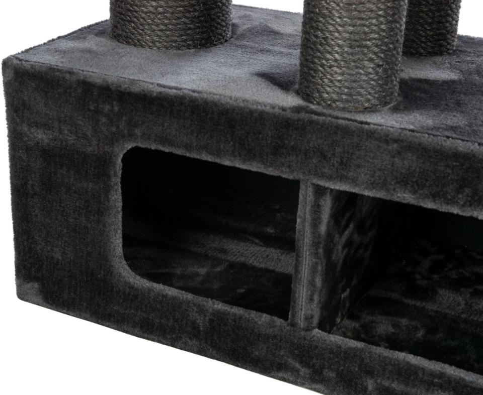 Trixie Antonio kattetræ