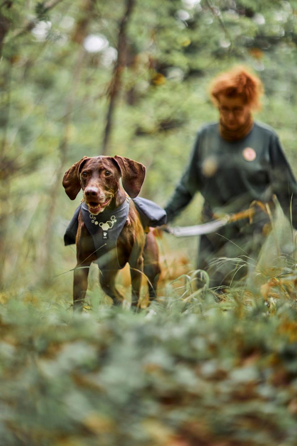 Hurtta Expedition Pack ECO hundesele