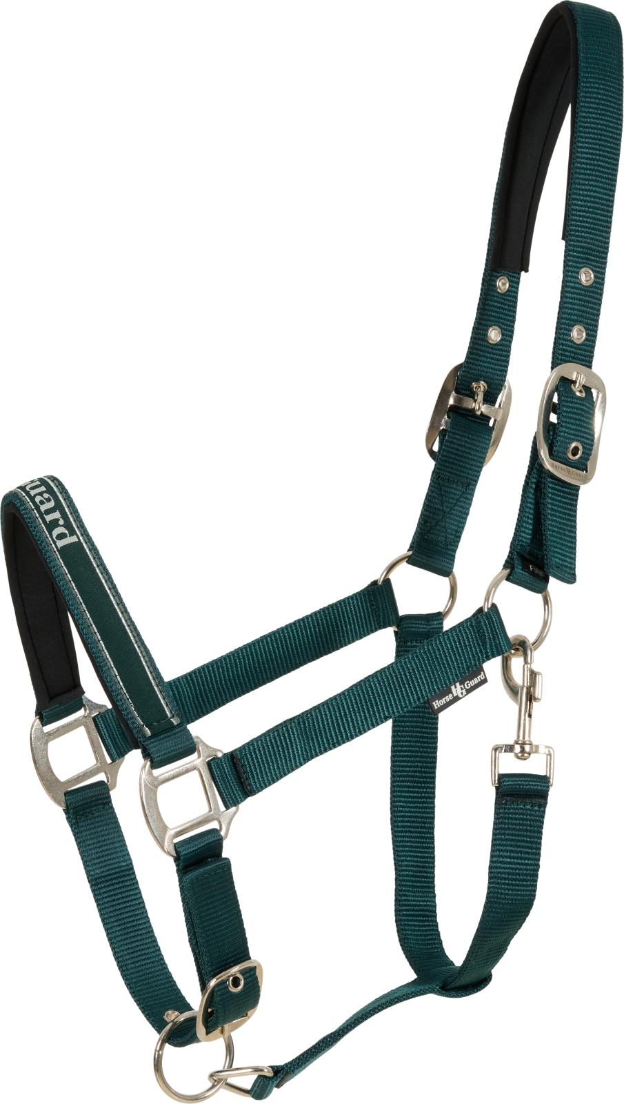 Horse Guard Sandra grime