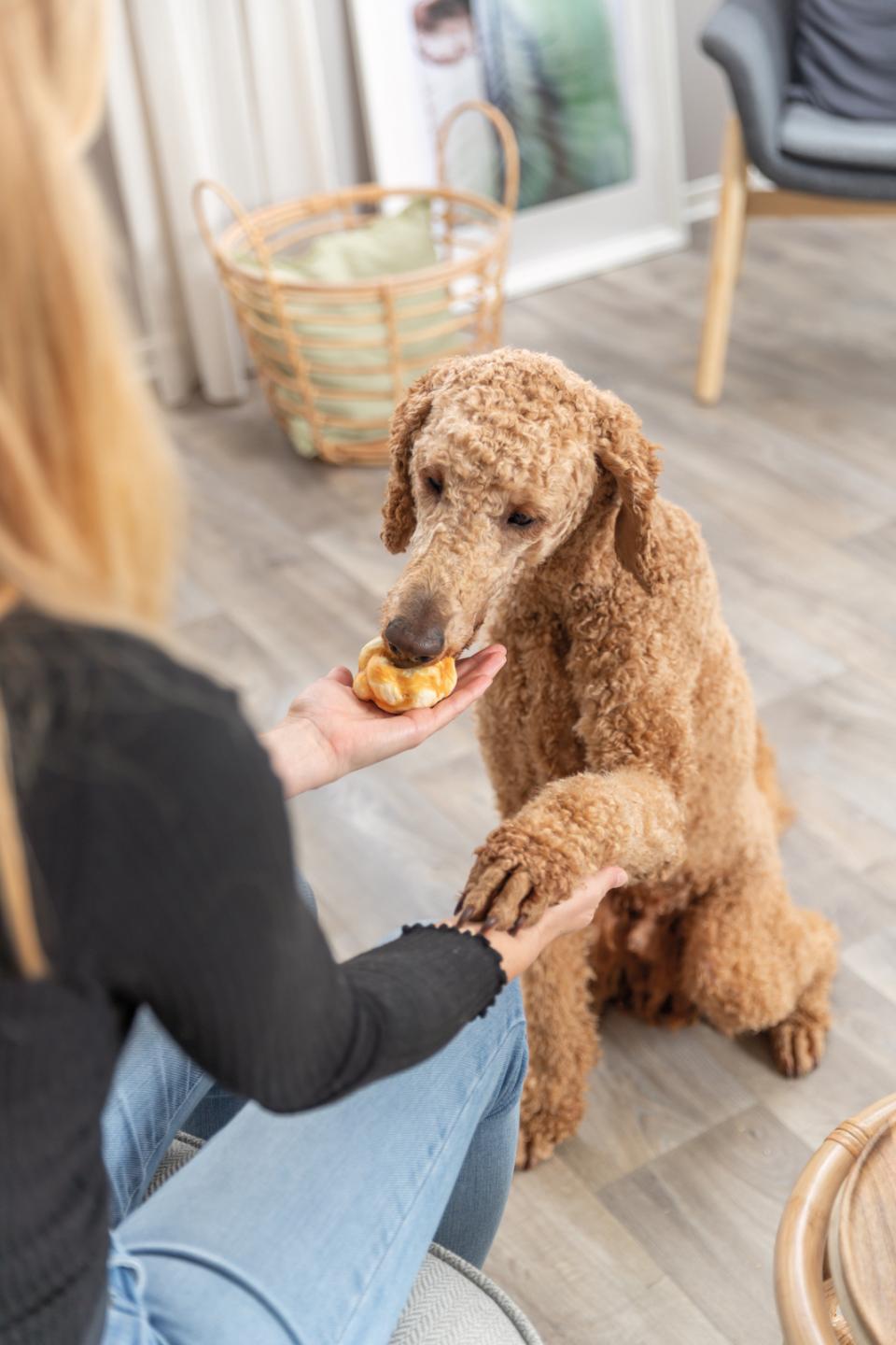 Trixie Denta Fun Twists, collagen med kylling