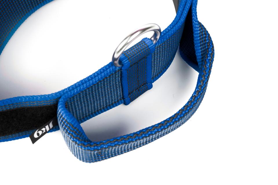 Julius-K9 C&G collars with handle