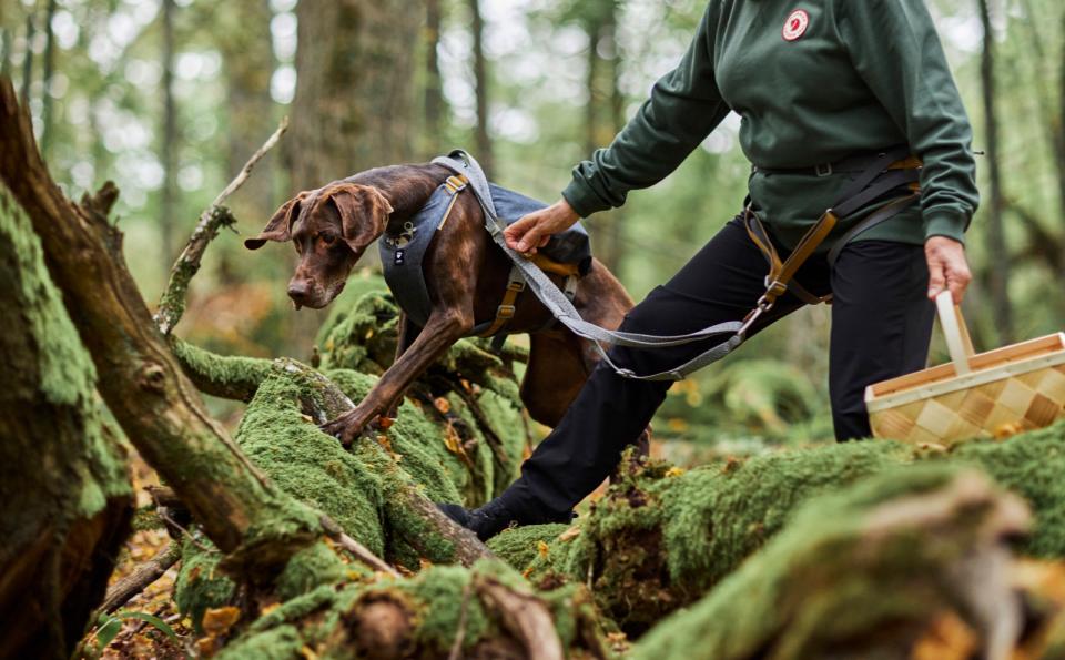 Hurtta Expedition ECO bælte