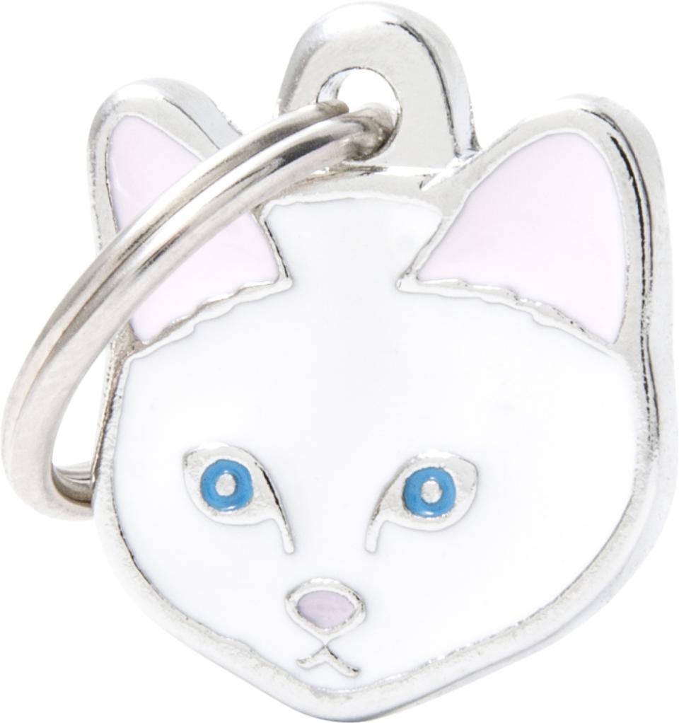 MyFamily Friends, Europæisk korthårskatt