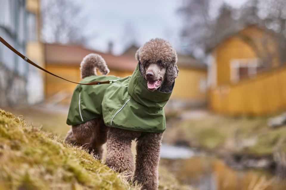 Hurtta ECO Mudventure, dekken