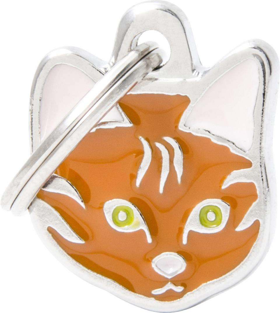 MyFamily Friends, Europæisk korthårskatt