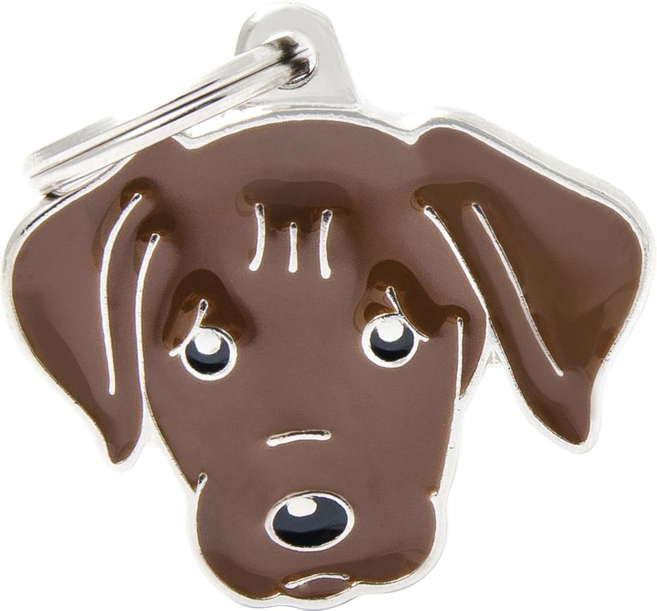 MyFamily Friends, Labrador retriever