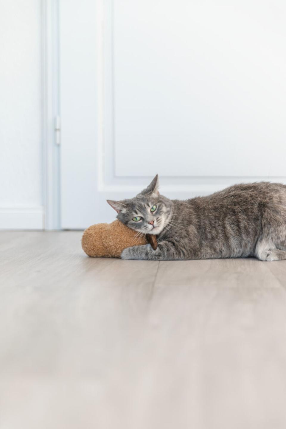 Trixie Peanut XXL kattelegetøj
