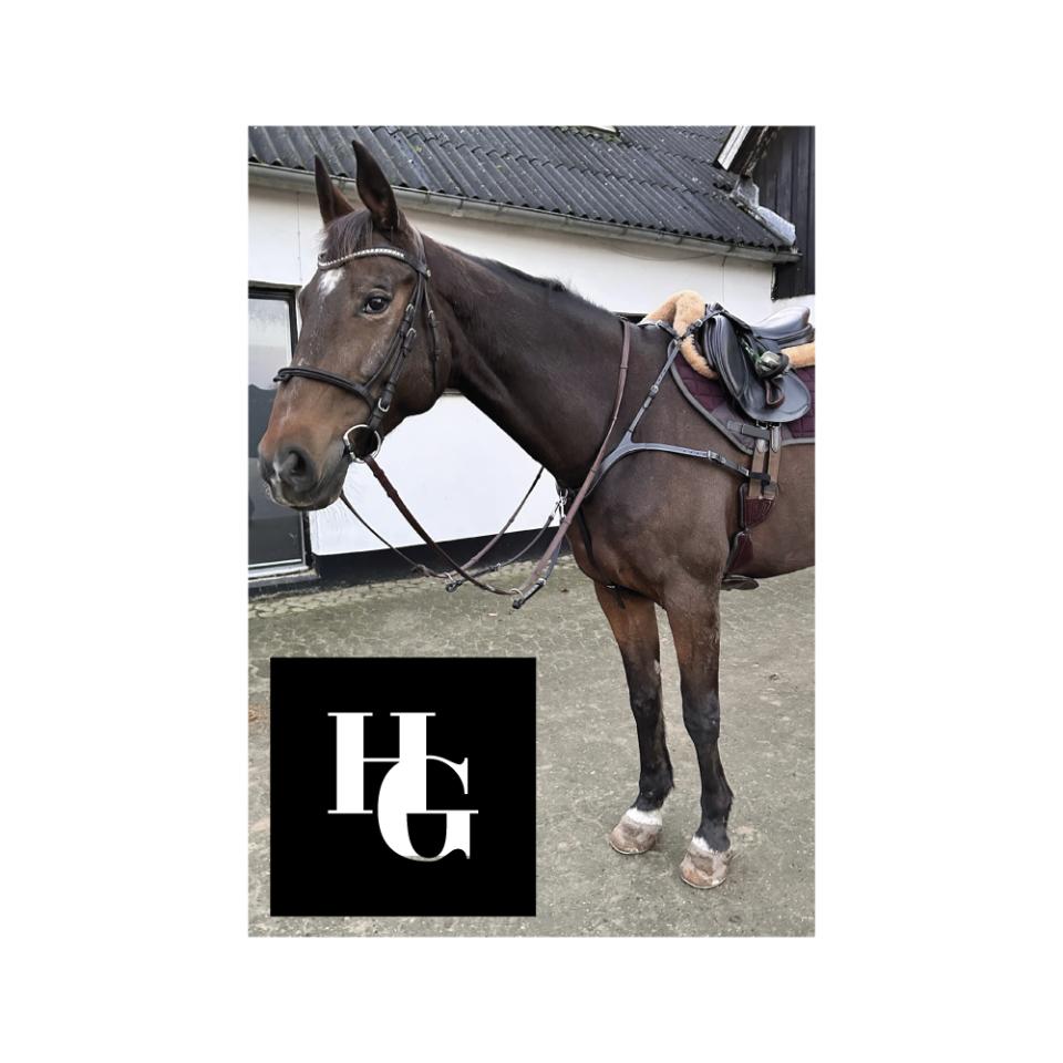 HorseGuard Luke Vorderzeug