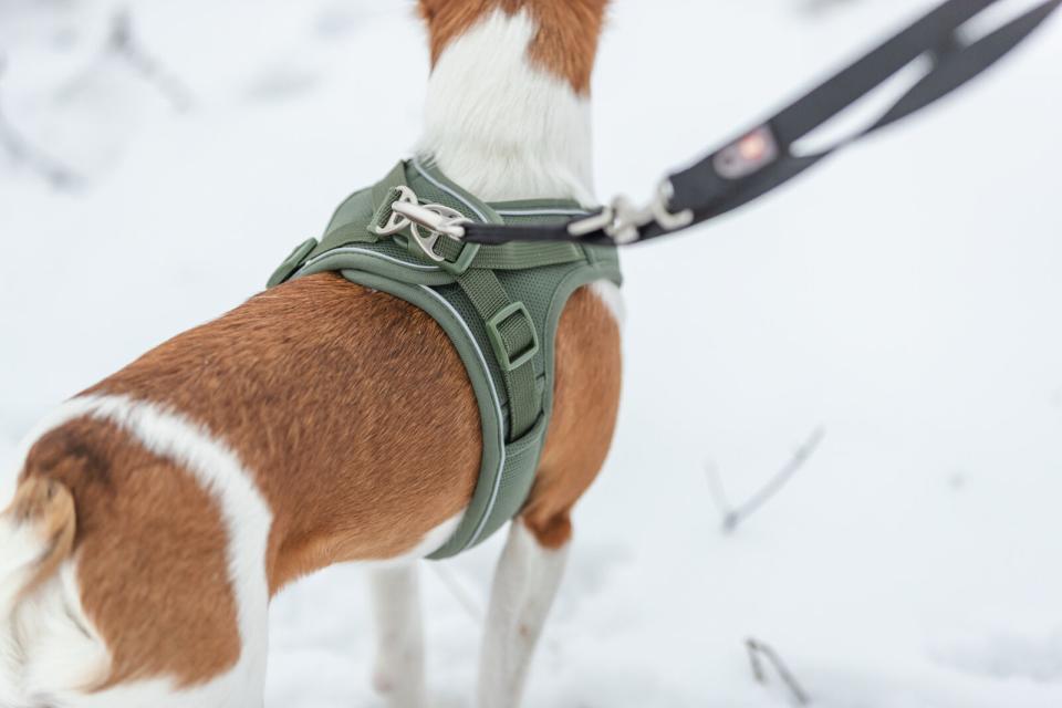 Trixie Premium UrbanVest hundesele