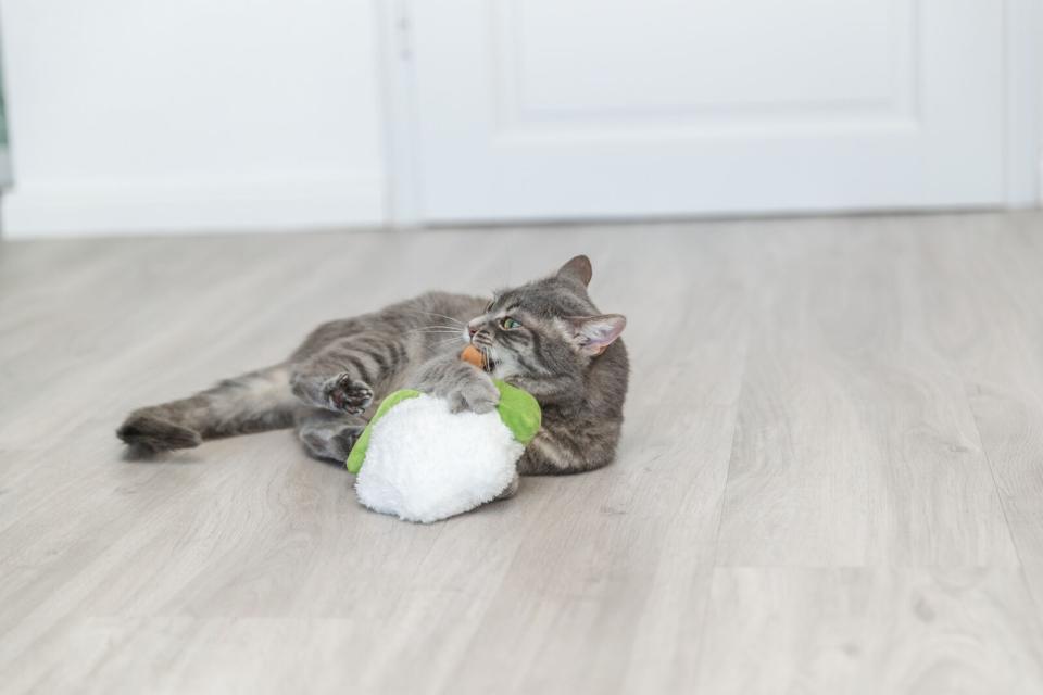 Trixie Blomkål XXL kattelegetøj