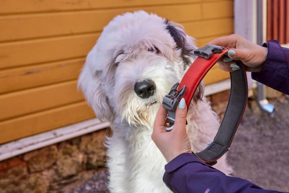 Hurtta Rover halsbånd