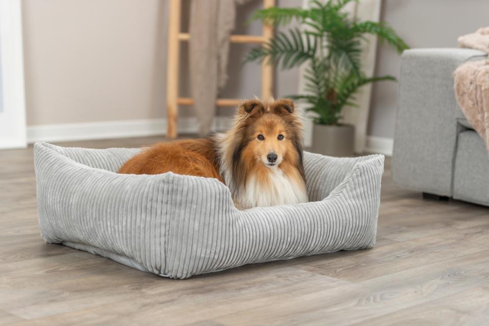 Trixie Jonna vital hundeseng