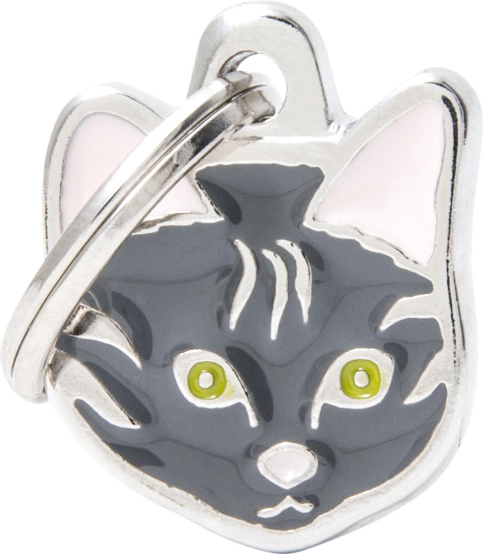 MyFamily Friends, Europæisk korthårskatt