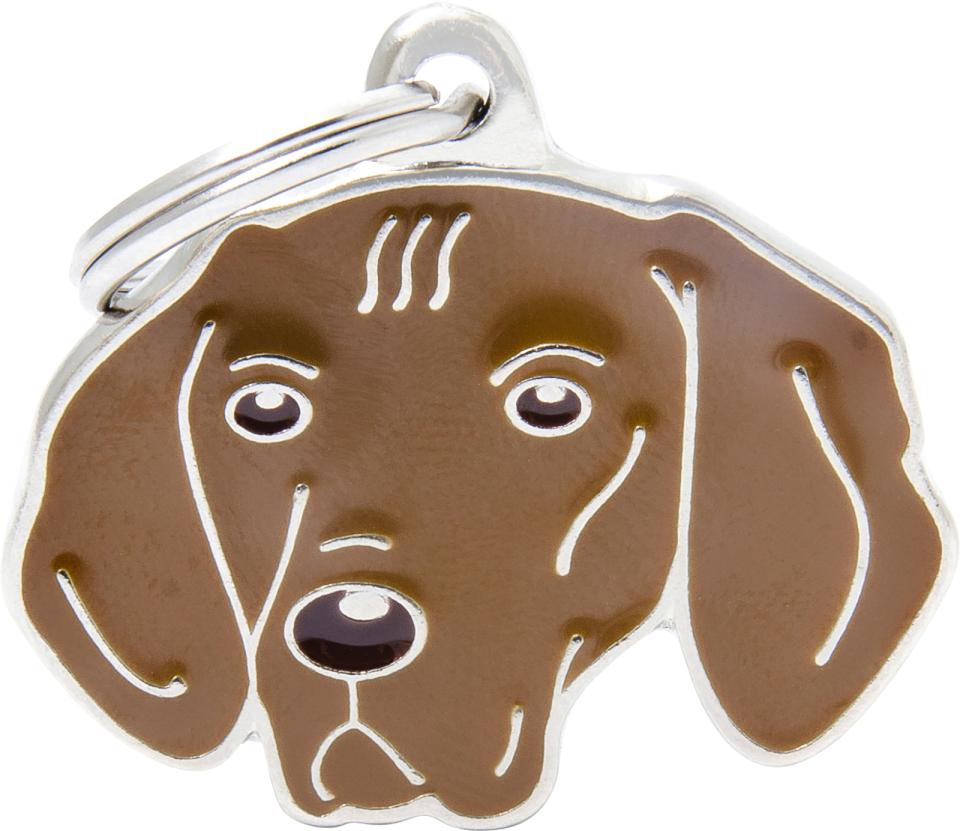 MyFamily Friends, Vizsla