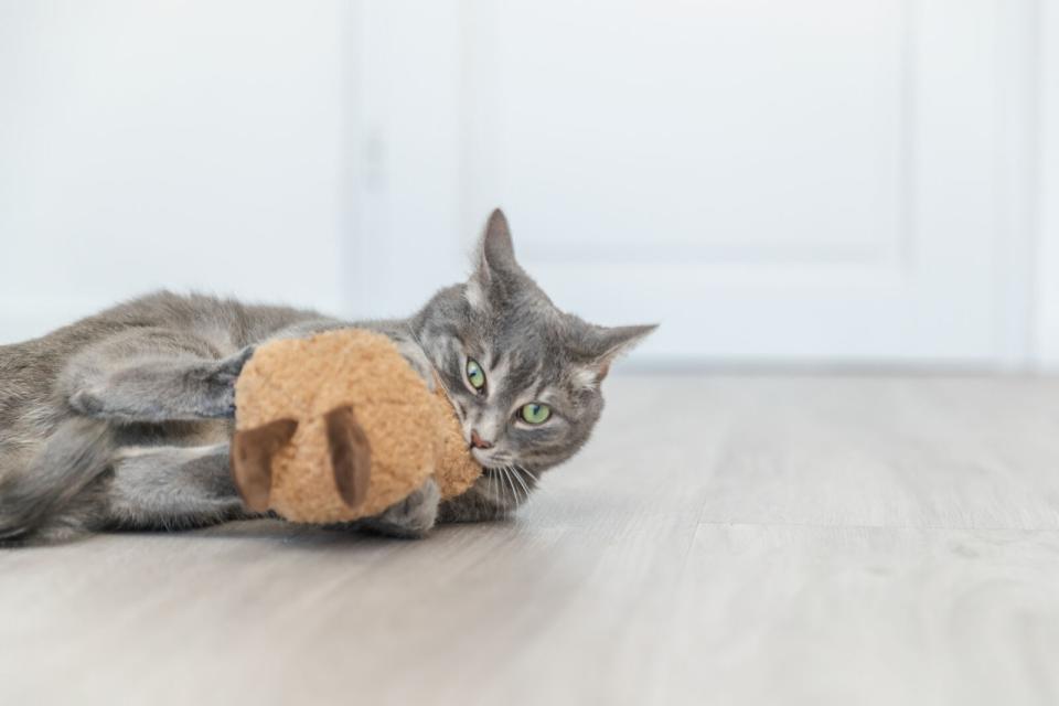 Trixie Peanut XXL kattelegetøj