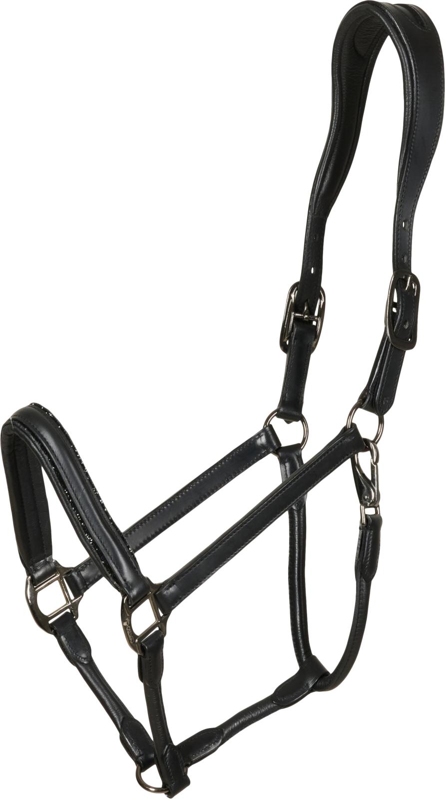 Catago Tori 26.1 lädergrimma, glittrande stenar