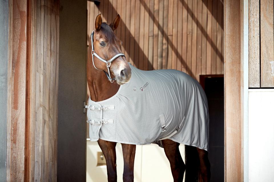 CATAGO Bamboo Sommerdecke