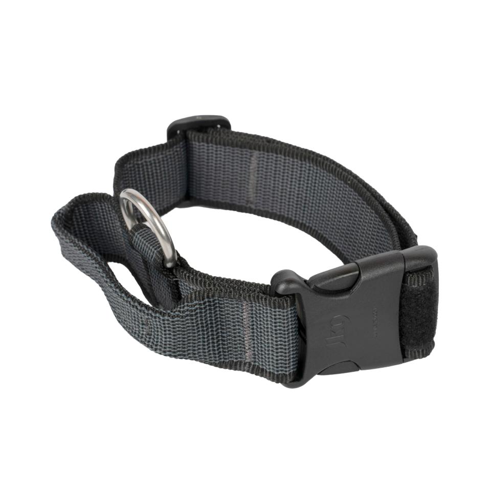 Julius-K9 C&G halsband med handtag
