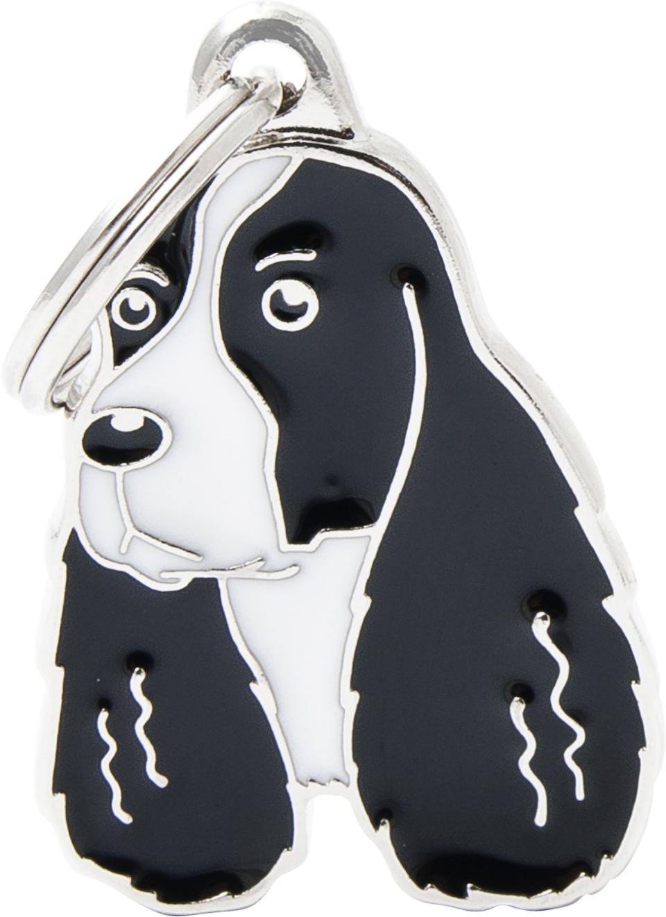 MyFamily Friends, Springer Spaniel