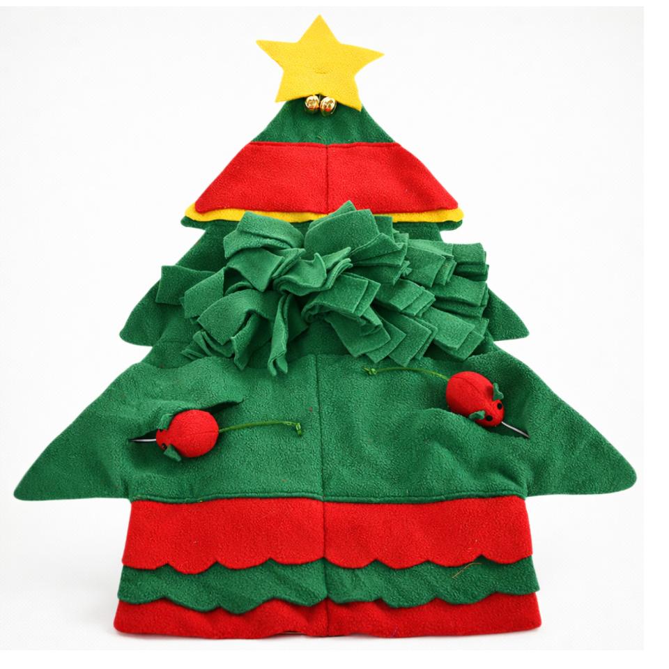 Companion X'mas cat sniffing carpet