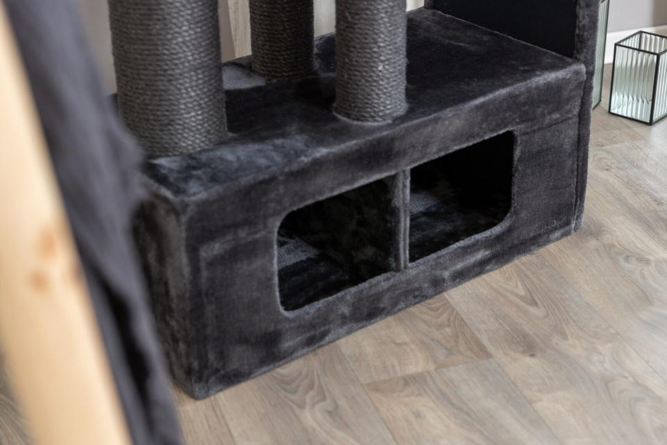 Trixie Antonio kattetræ