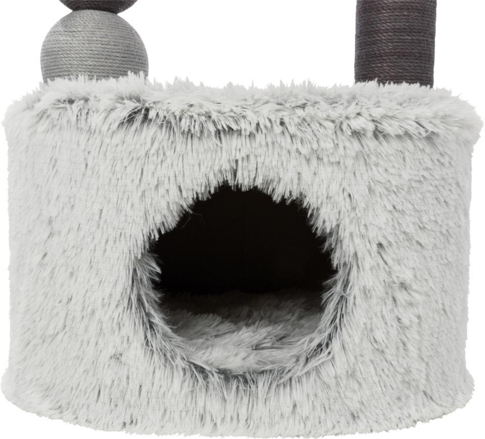 Trixie Harvey kradsetræ