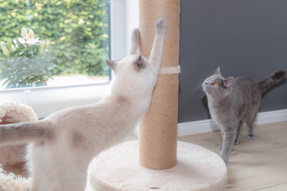 Boho scratching post