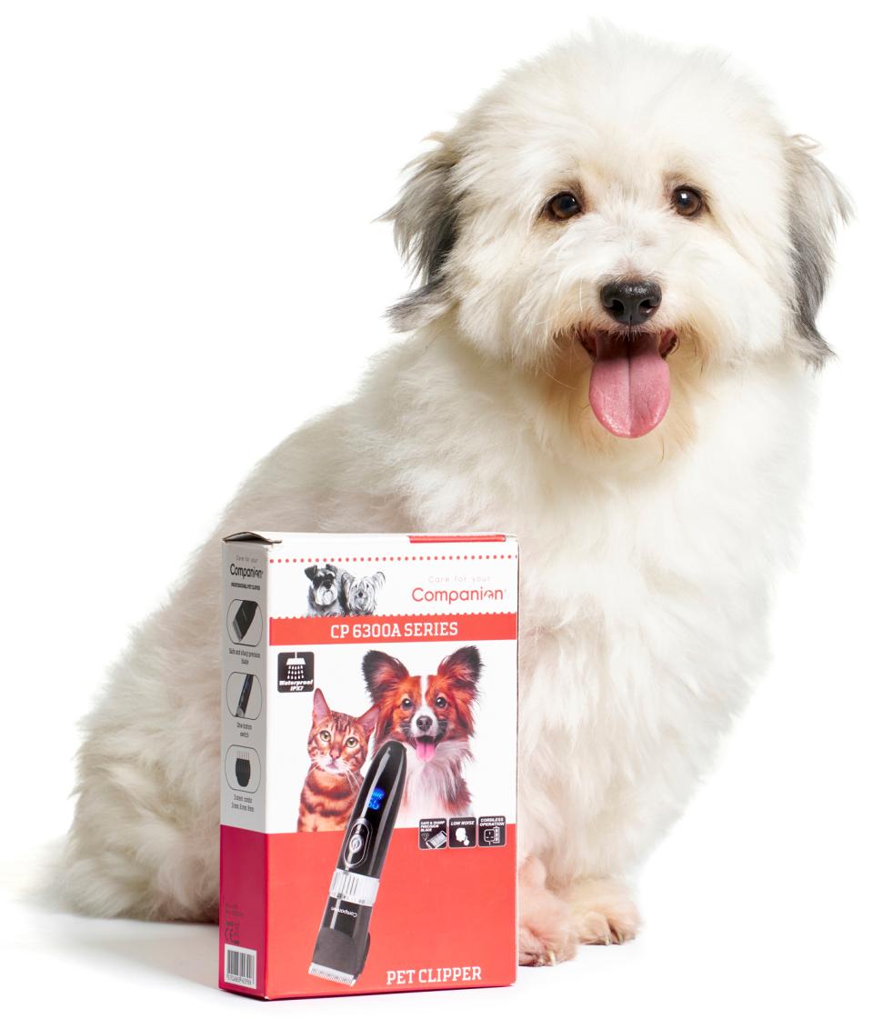 Companion klippemaskine - CP6300A
