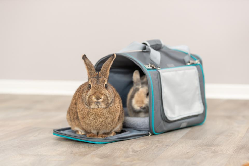 Trixie Vicky bære- og transporttaske