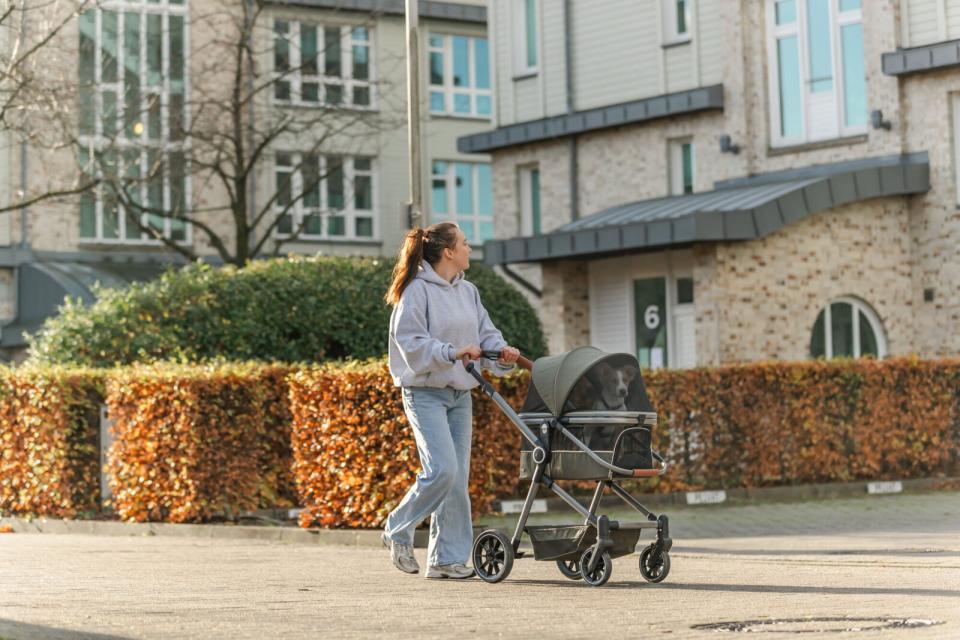 Trixie Buggy klapvogn til hunde