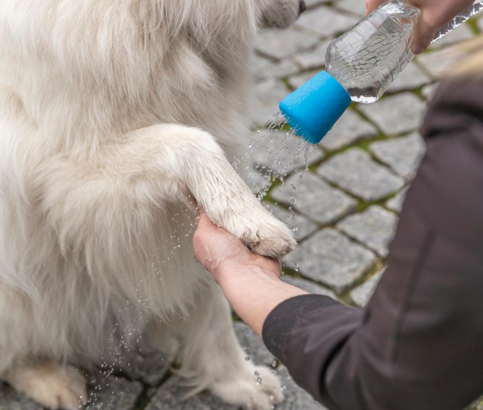 Trixie Mobil hundebruser
