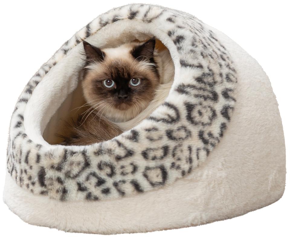 Trixie Leo hyggehule