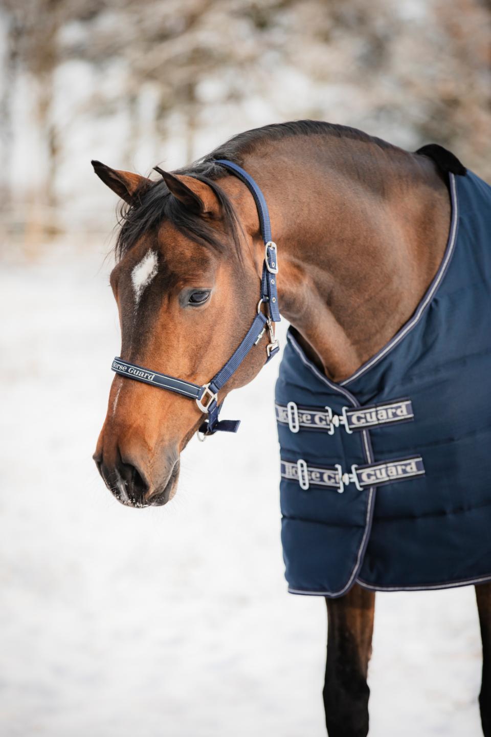 HorseGuard Sophie Stalldecke 600D 100g