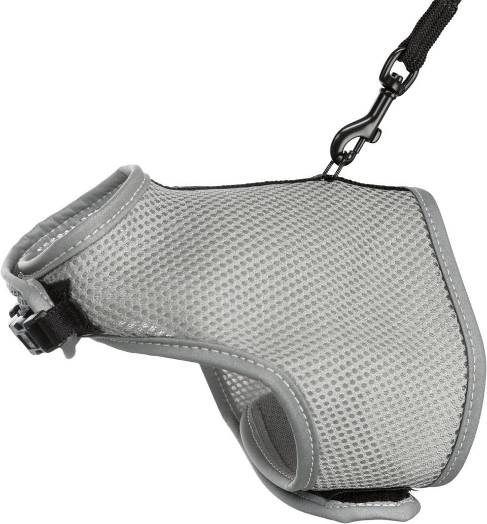 X-Cat kattesæt m. elastik line