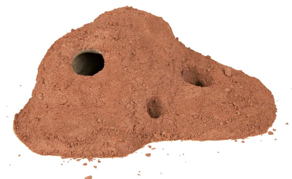 Trixie Sand, terrarie