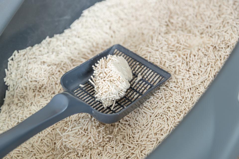 Trixie Tofu Cat litter, kattesand, 100 % plantebasert