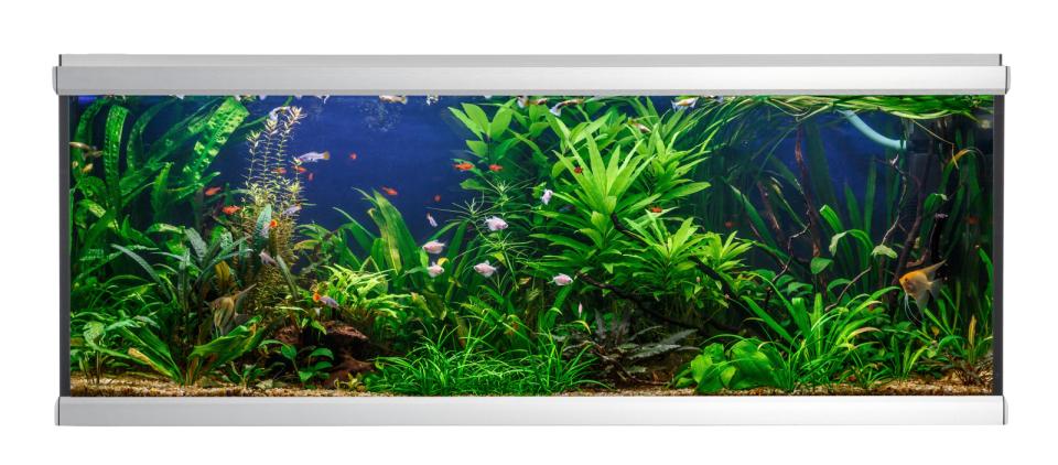 AkvaStabil MOVE akvarium - 576 liter