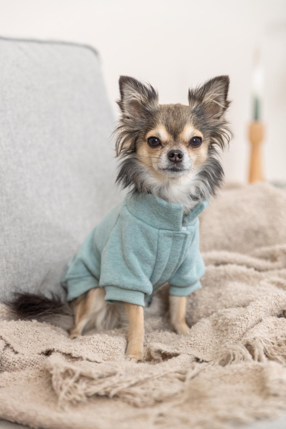 Trixie Littleton sweatshirt til hunde