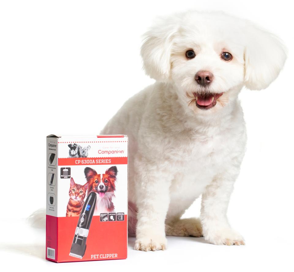 Companion klippemaskine - CP6300A