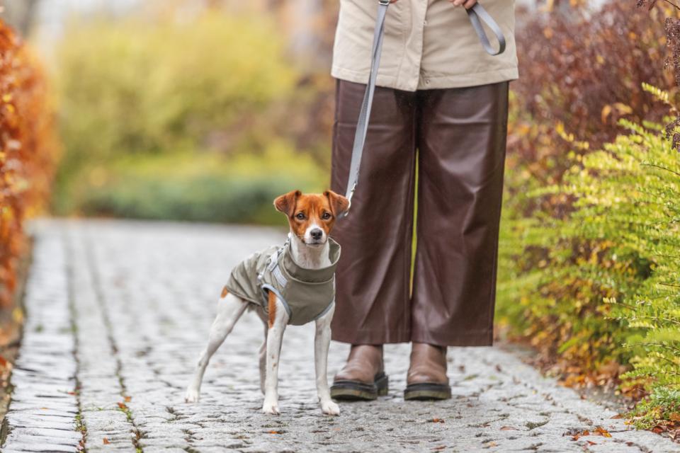Trixie Pontis regn hundedækken med sele