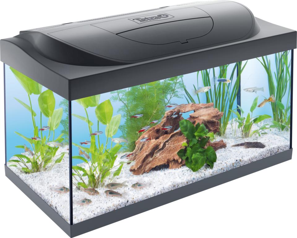 Tetra Starter Line Tank LED