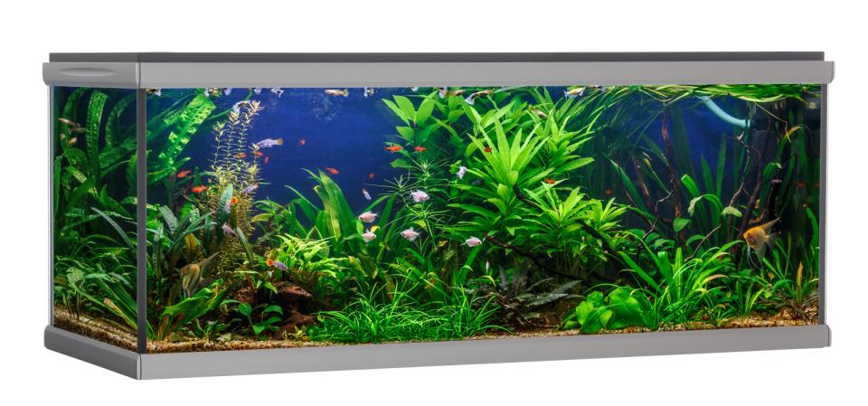 AkvaStabil MOVE akvarium - 576 liter