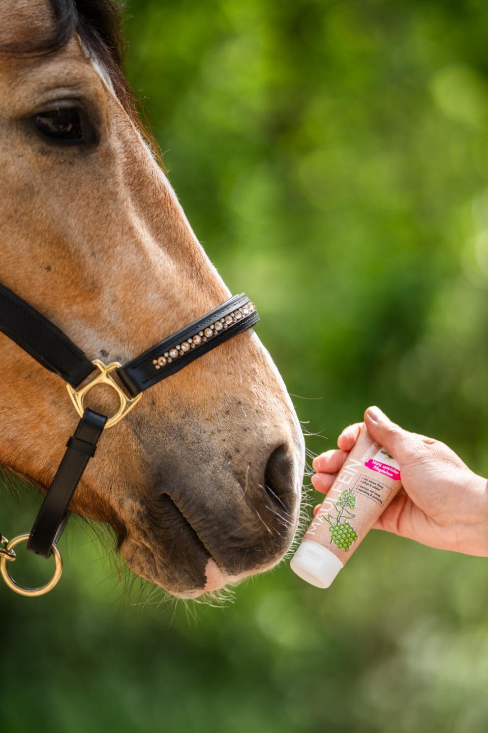 Bense & Eicke MouthFine, tube