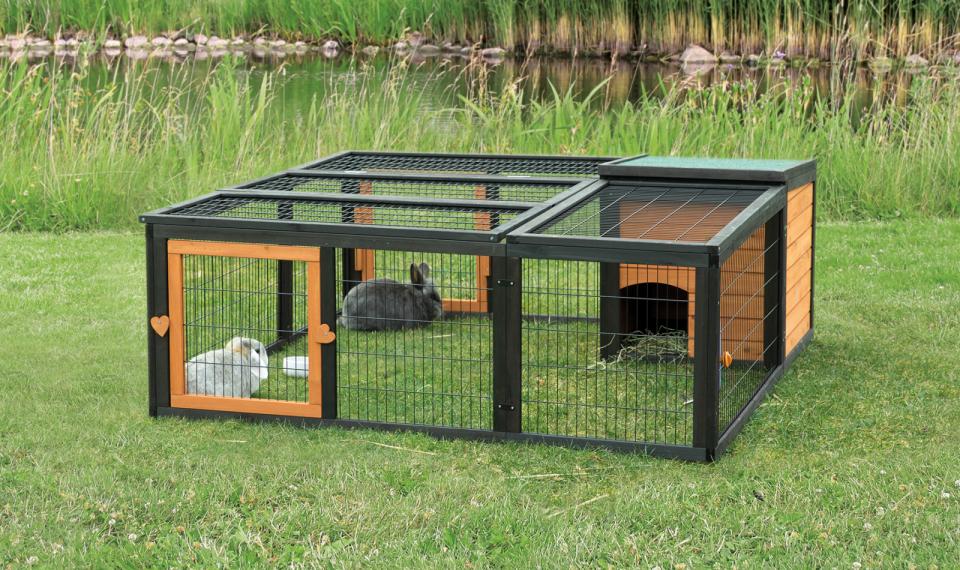 Outdoor Run with Cover