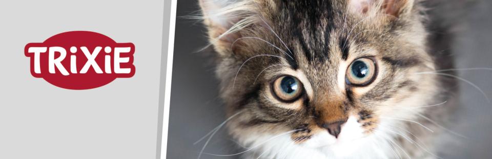 Magnet skilt t. Tego reol kat