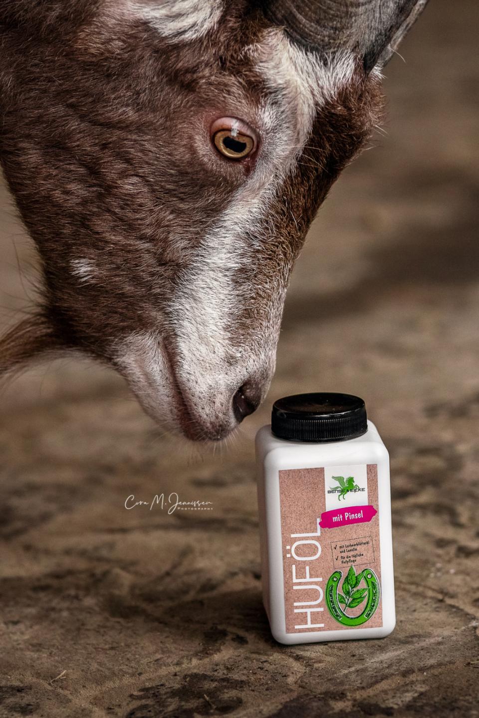 Bense & Eicke hovolja