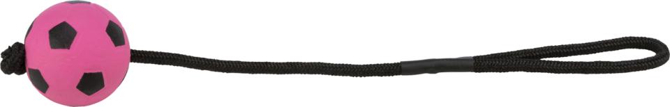 Trixie Sæt med sportsbolde med reb