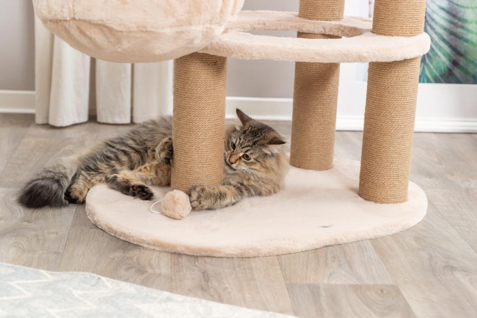 Trixie Boho Fillippo kradsetræ