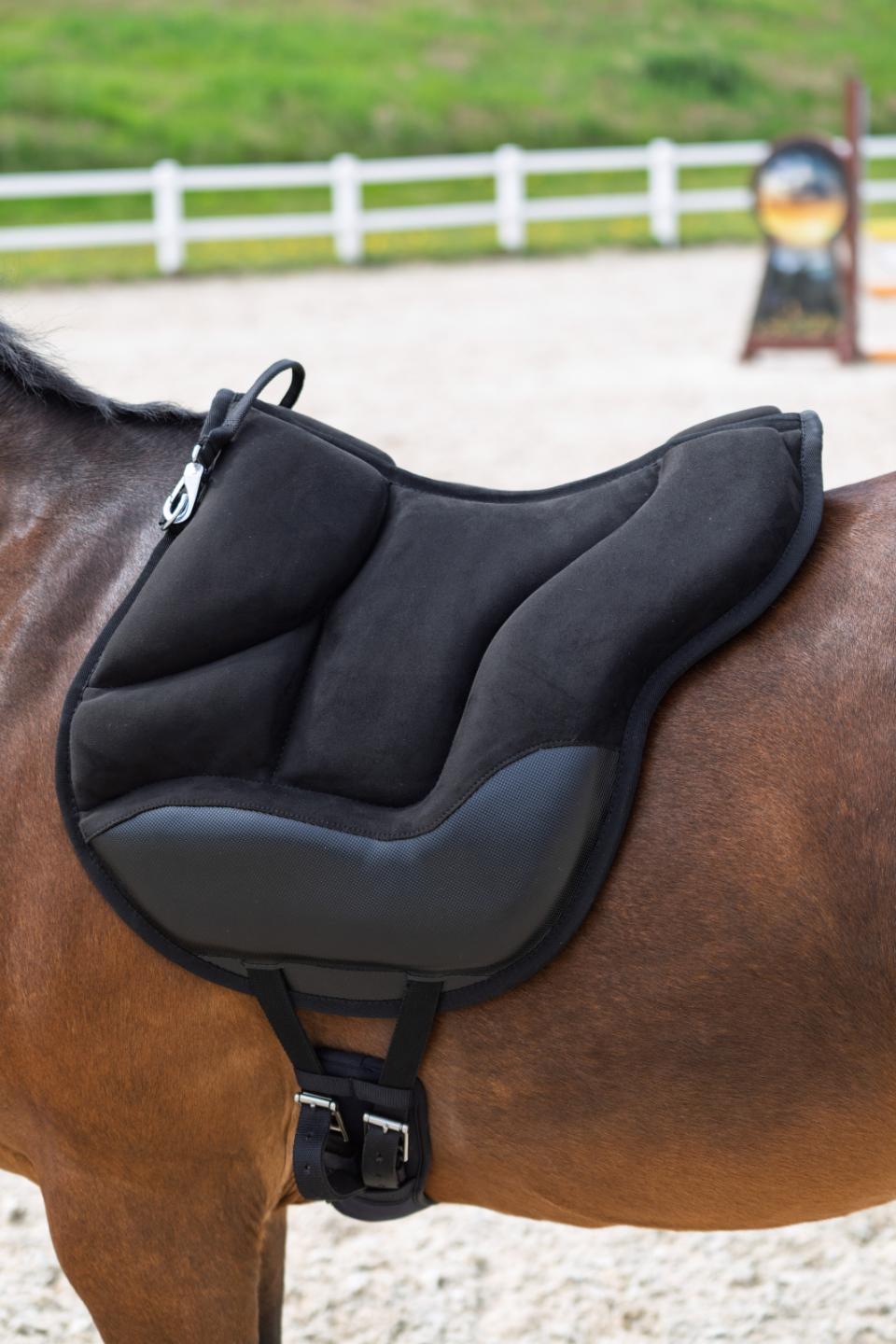 HorseGuard Velika barebackpad