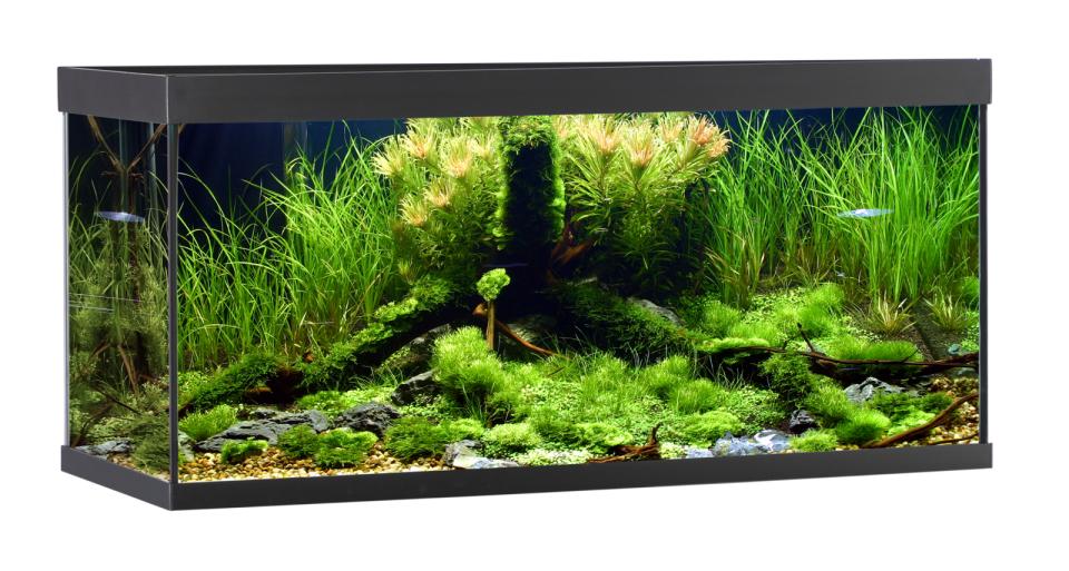 AkvaStabil ELEMENT Akvarium